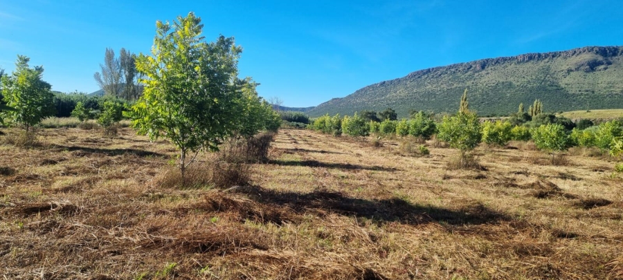 4 Bedroom Property for Sale in Queenstown Rural Eastern Cape